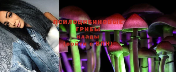 прущая мука Дмитриев