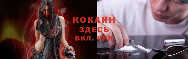 прущая мука Дмитриев