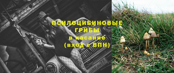 прущая мука Дмитриев