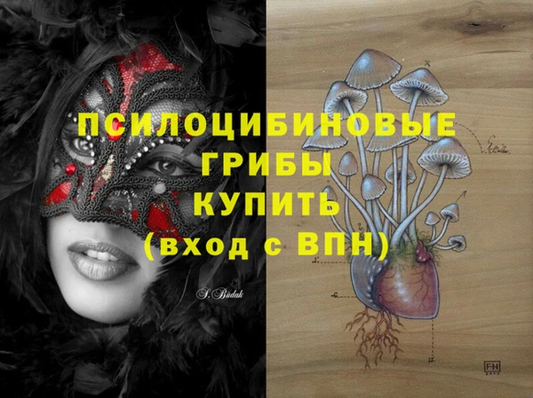 прущая мука Дмитриев