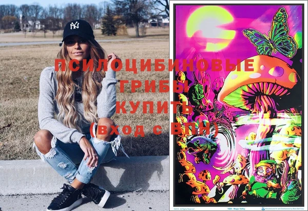 spice Дмитров