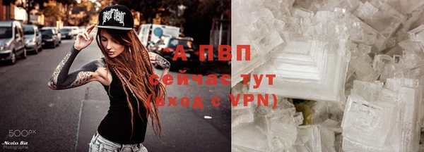 сатива Ельня